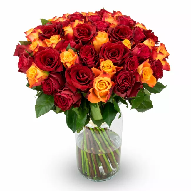 Bouquet of red and orange roses
